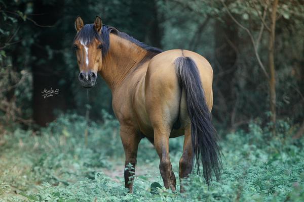 Agroturystyka i Pokoje do Wynajcia Zakrzwek