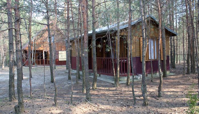 Domki nad zalewem w Majdanie Sopockim