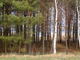 Domek Mazury Mikoajki Giycko