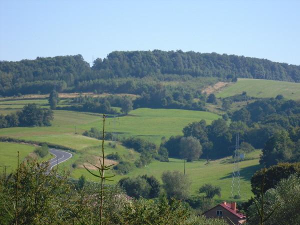 Zacisze Olszany