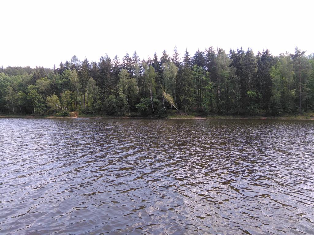 Domki nad jeziorem