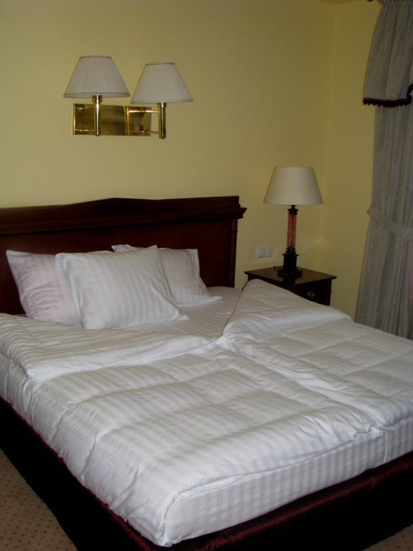 Hotel Wilga***by Katowice Airport