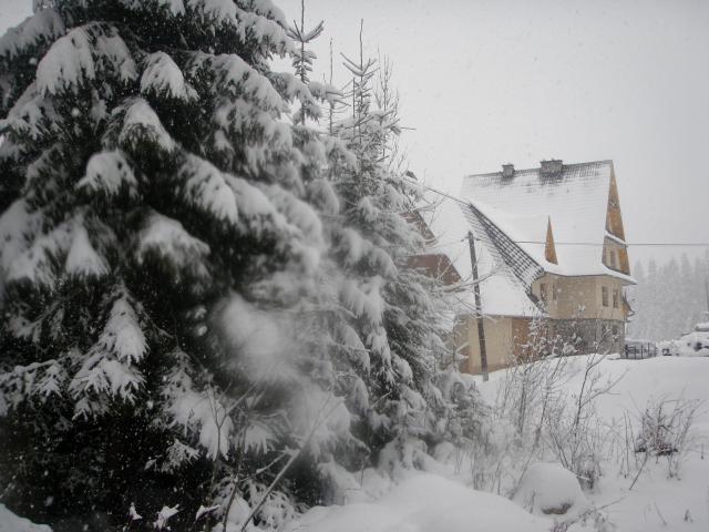 Pokoje gocinne egleniwka