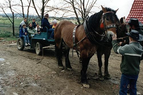 Gospodarstwo Agroturystyczne Konna Zagroda