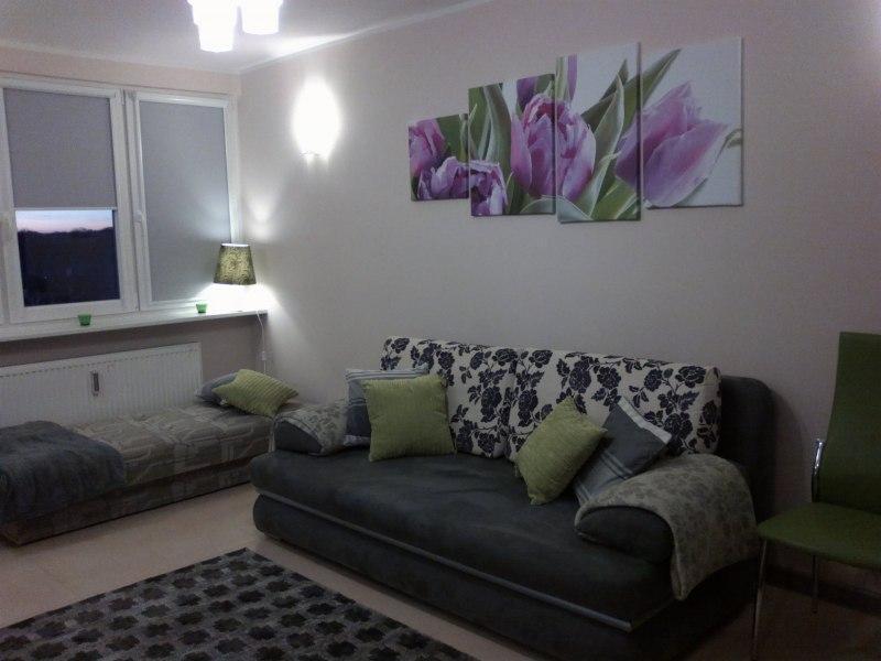 Apartament Biedronka