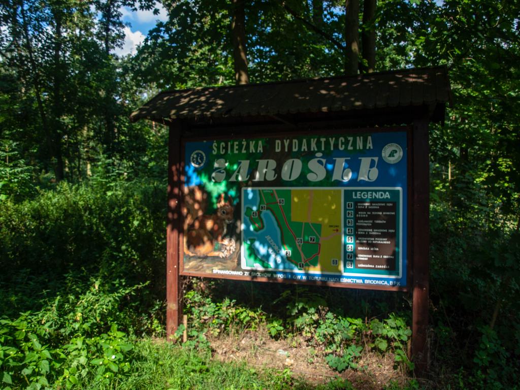 Agroturystyka Pokoje Pod Sosnami