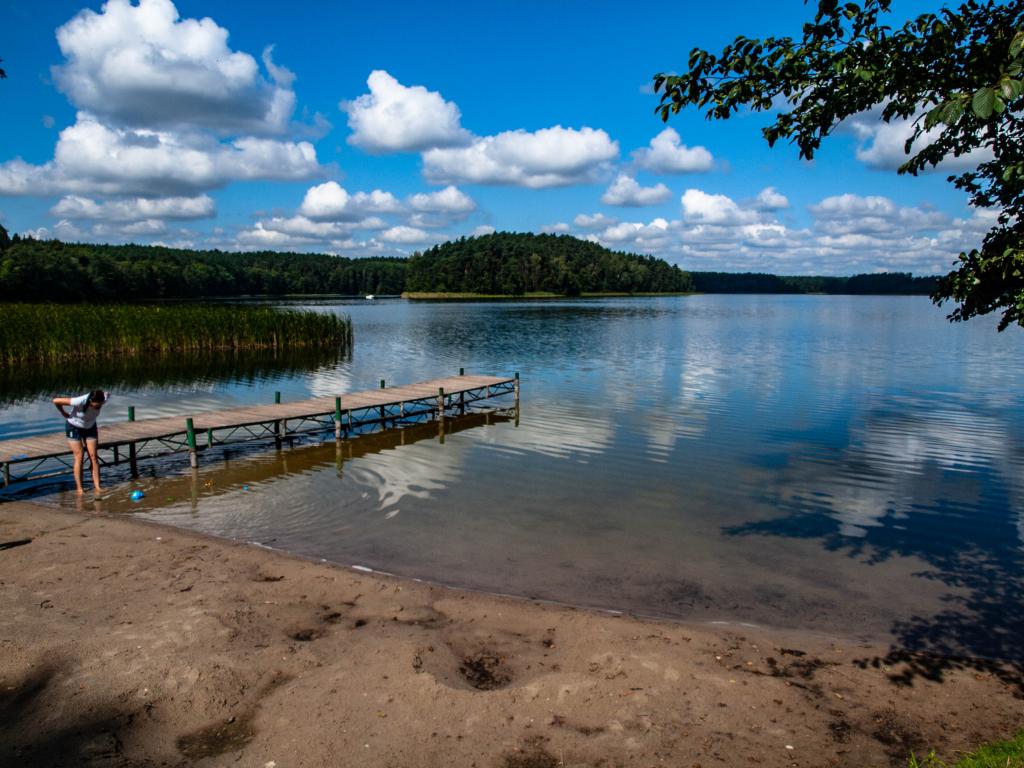 Agroturystyka Pokoje Pod Sosnami