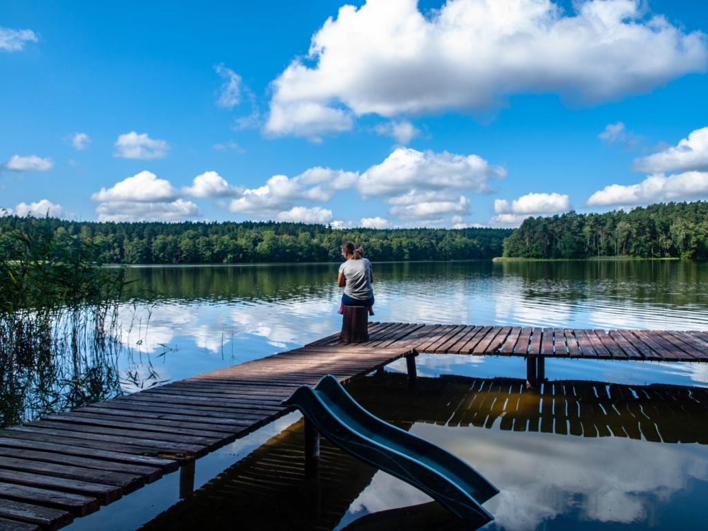 Agroturystyka Pokoje Pod Sosnami