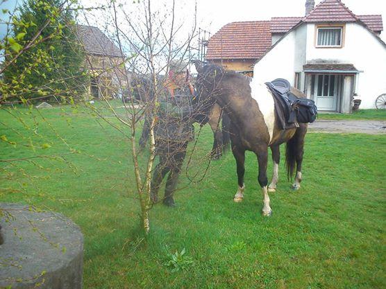 Gospodarstwo Agroturystyczne U Jasinka