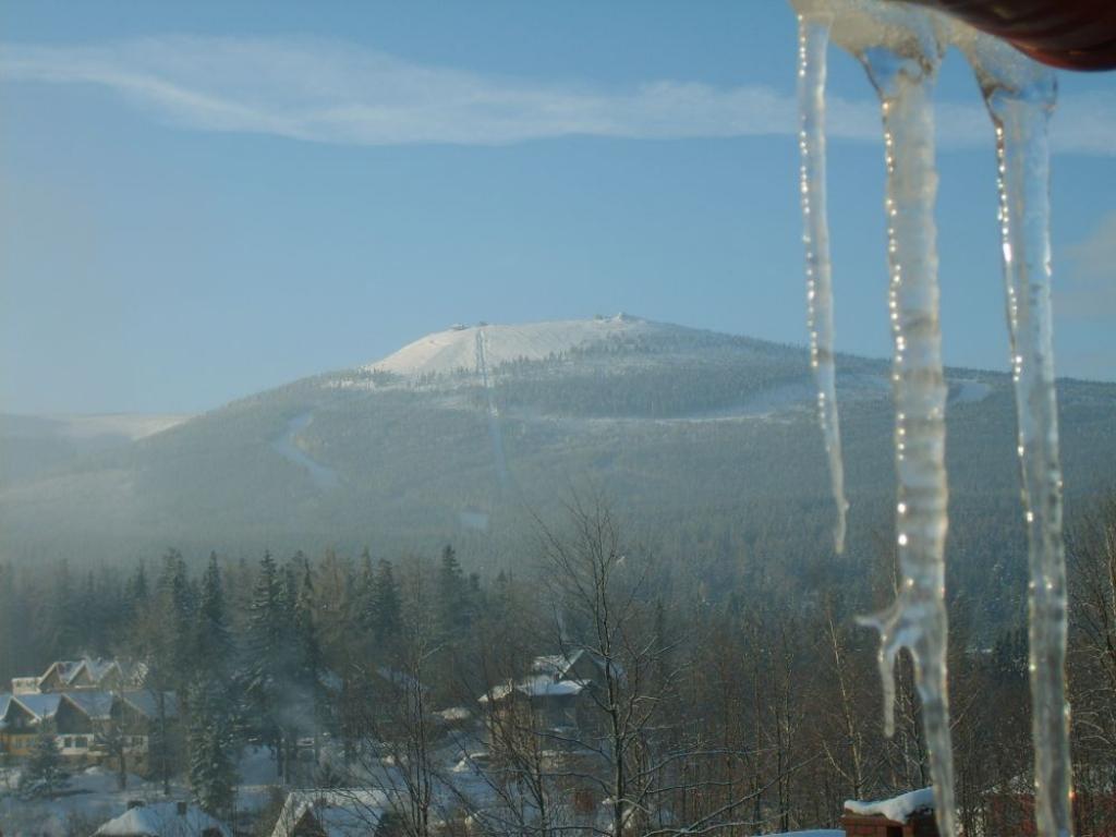 Pokoje Gocinne Skalnik