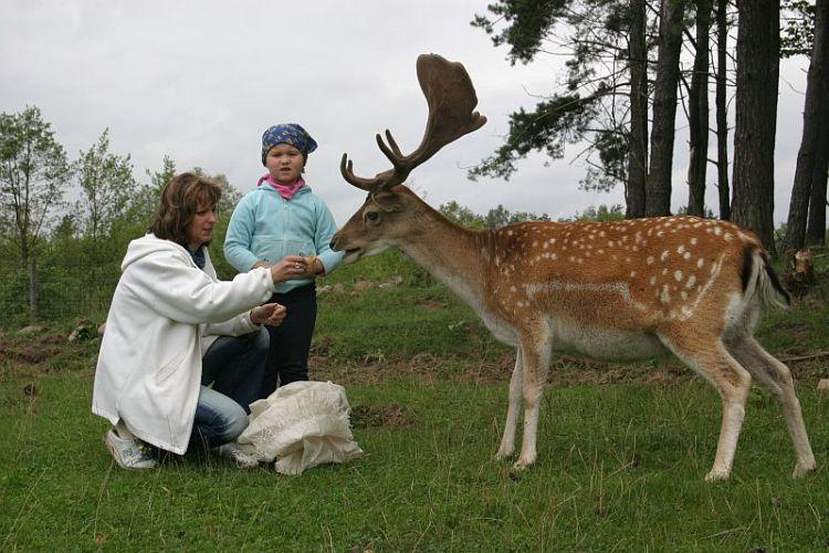 Gospodarstwo Agroturystyczne Bajawa