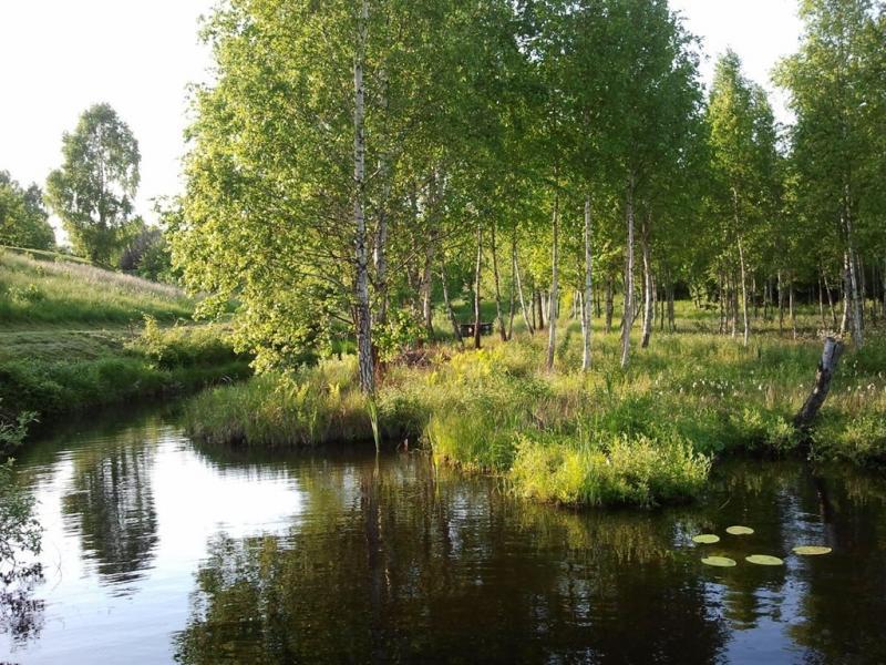 Pokoje nad Jeziorem u Basi