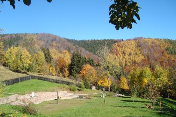 Pensjonat Pinokio