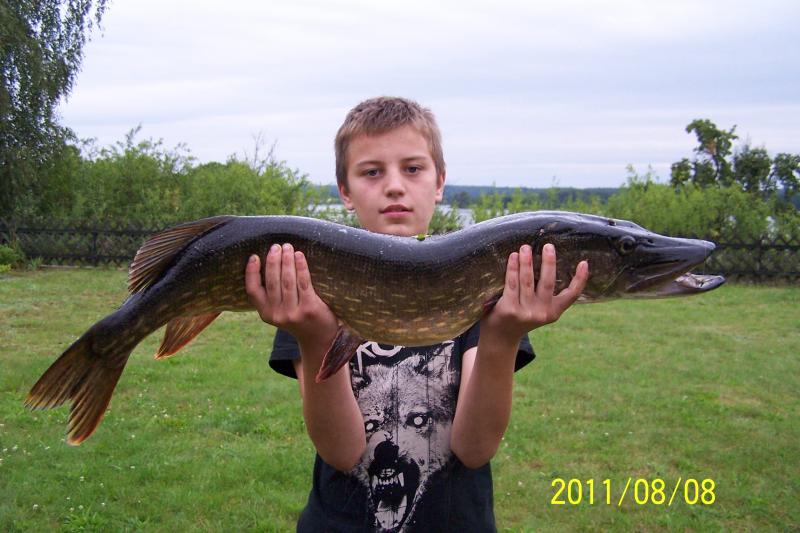 Pokoje Gocinne Pod Jaworem