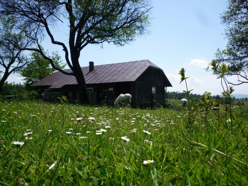 Gospodarstwo Agroturystyczne na Przysupiu w Nowicy