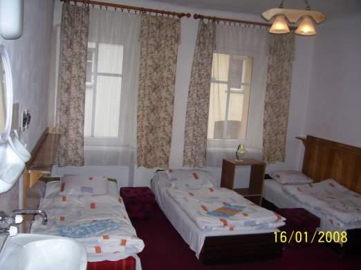 Hotel Piast