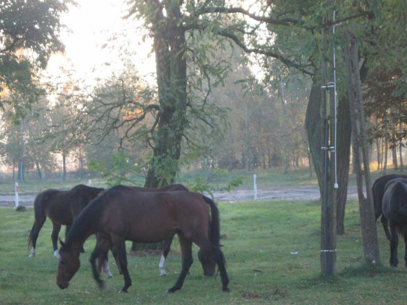 Gospodarstwo Agroturystyczne w Wierzycach