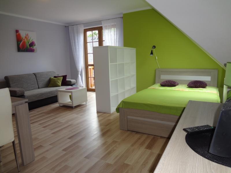 Apartament Pogodny