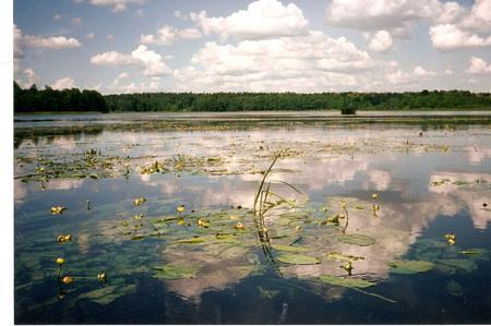 Domek Letniskowy Mikoajki