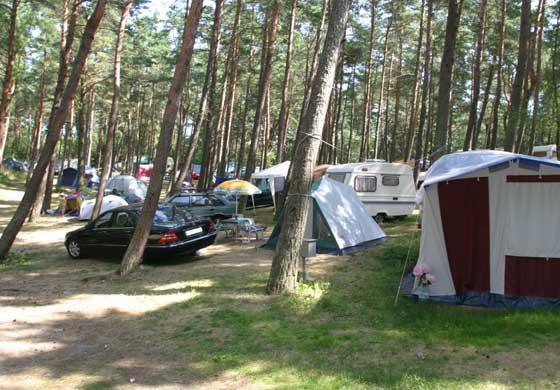 Camping nr 71
