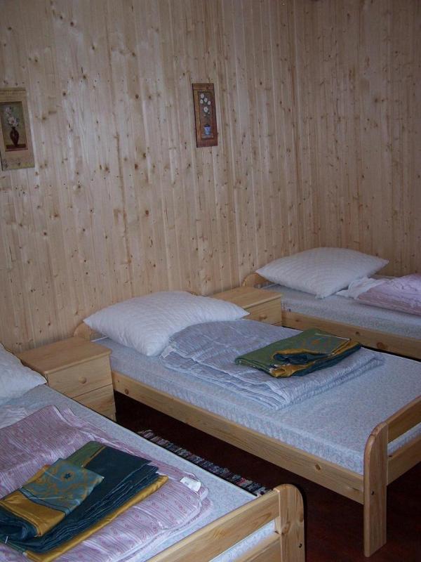 Domki pod lasem