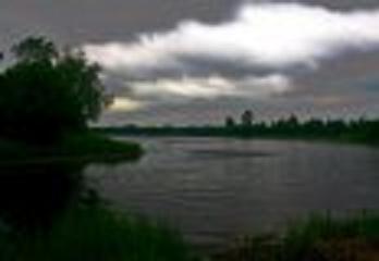 Zajazd Niva