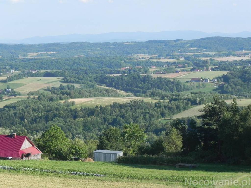 Pokoje Gocinne Pod Kokoczem