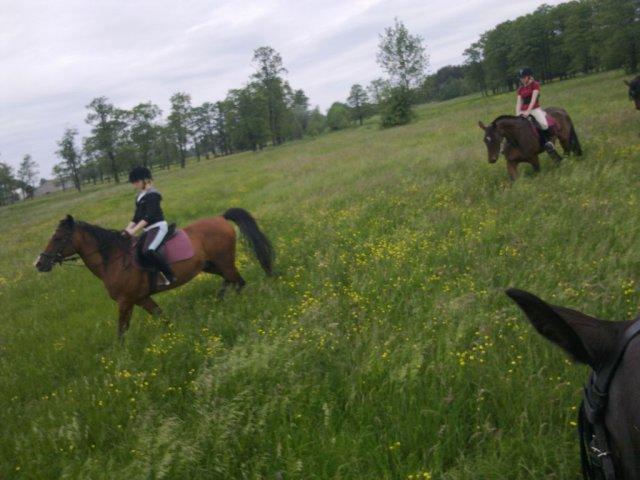 Horseland