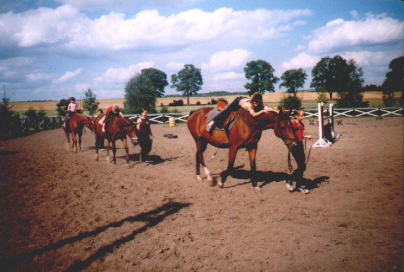 Gospodarstwo Agroturystyczne Eden