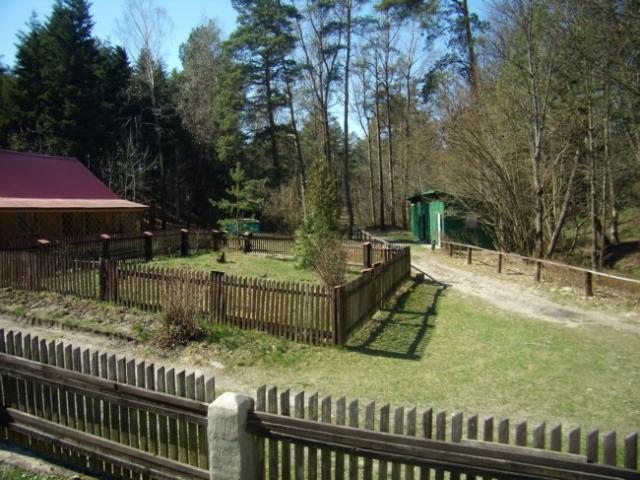 Pokoje gocinne Jelonek