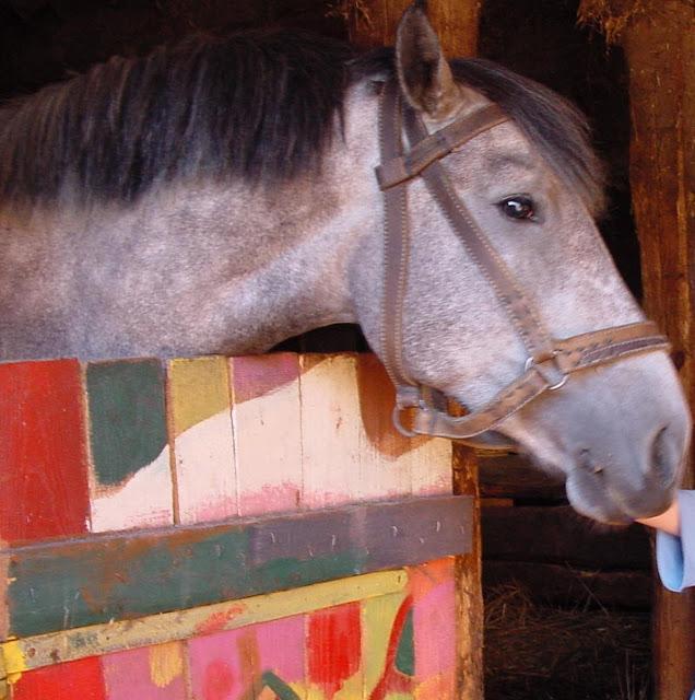Gospodarstwo agroturystyczne na Podlasiu