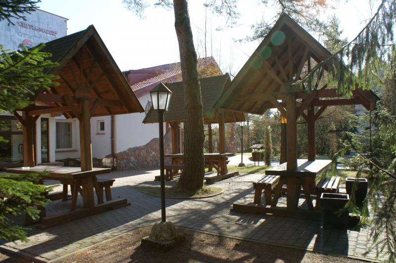 Gryfia - Mazur