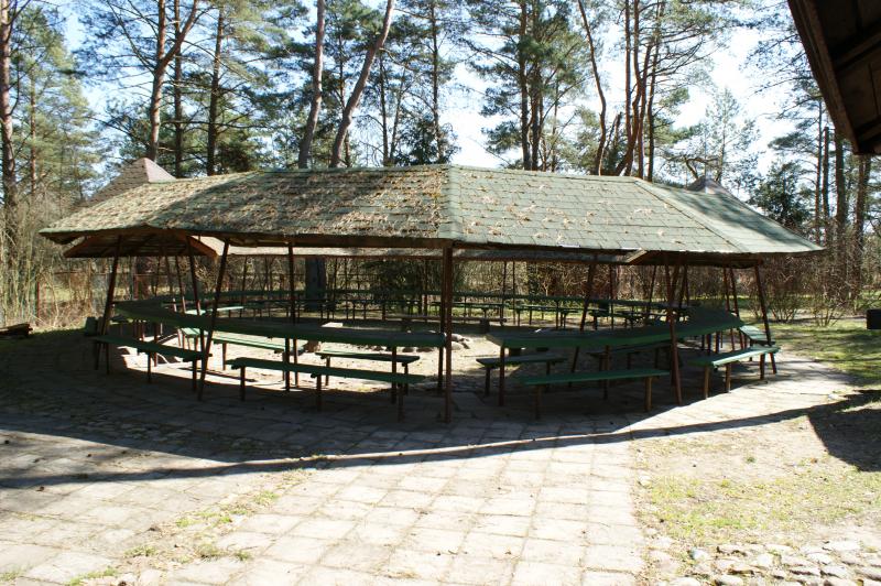 Gryfia - Mazur
