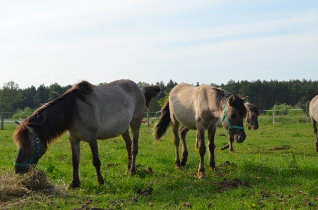 Lokalna Baza Ekoturystyki