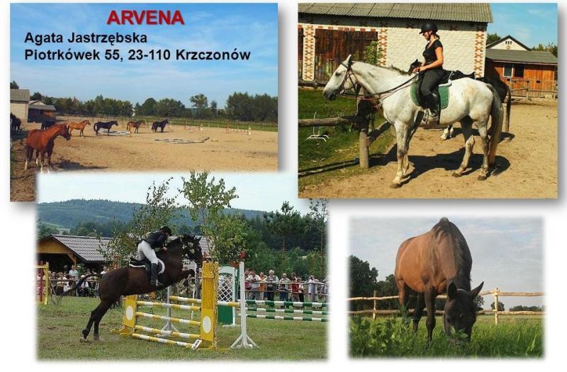 Klub Jedziecki Arvena