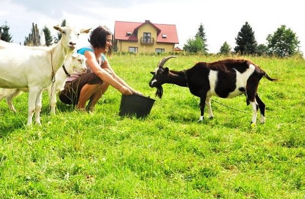 Gospodarstwo Agroturystyczne Gazdwka