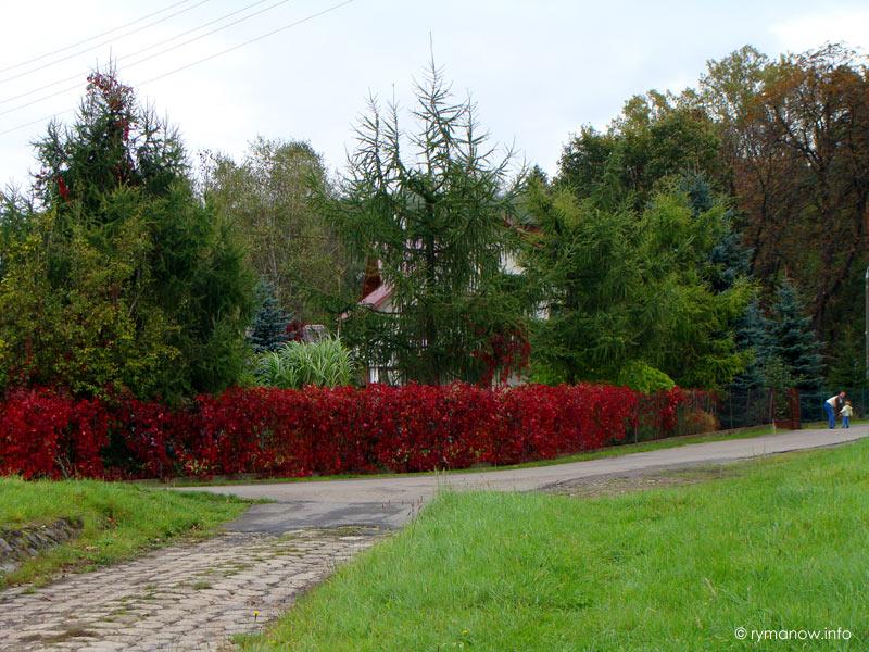 Noclegi U Jaworskich