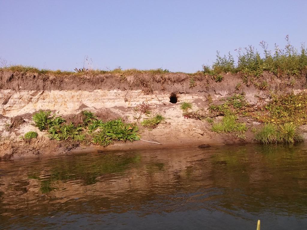 Gospodarstwo agroturystyczne Nad Nid