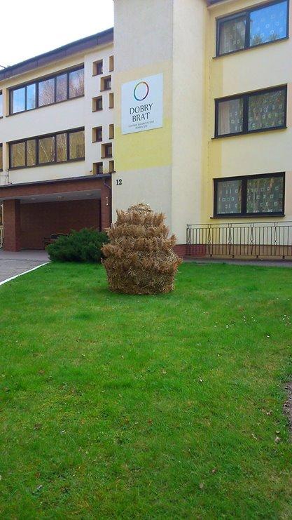 Dobry Brat