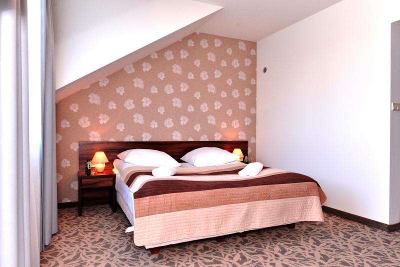 Hotel Olsza