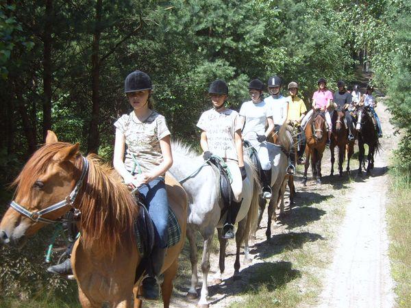 Gospodarstwo Agroturystyczne Bukowiniec