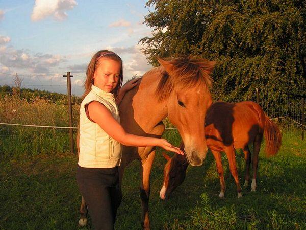 Gospodarstwo Agroturystyczne Bukowiniec