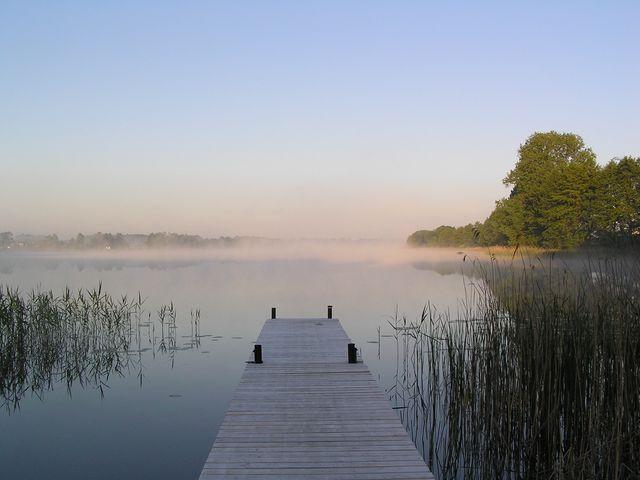 Stara Szkoa