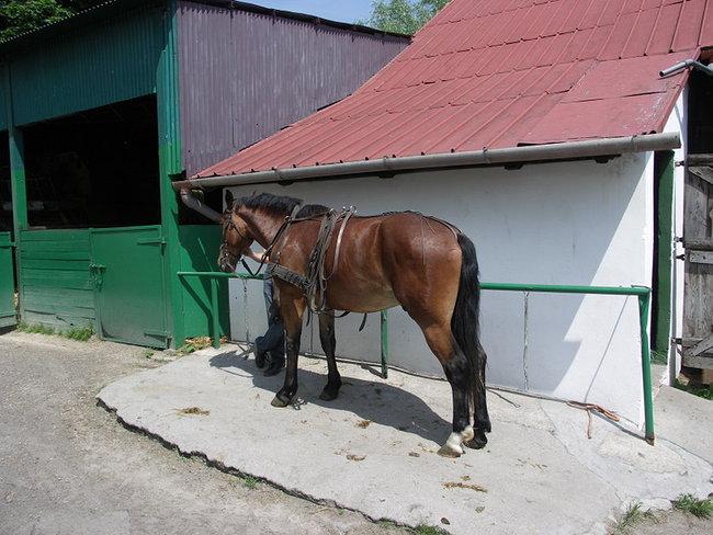 Gospodarstwo Agroturystyczne Huzar