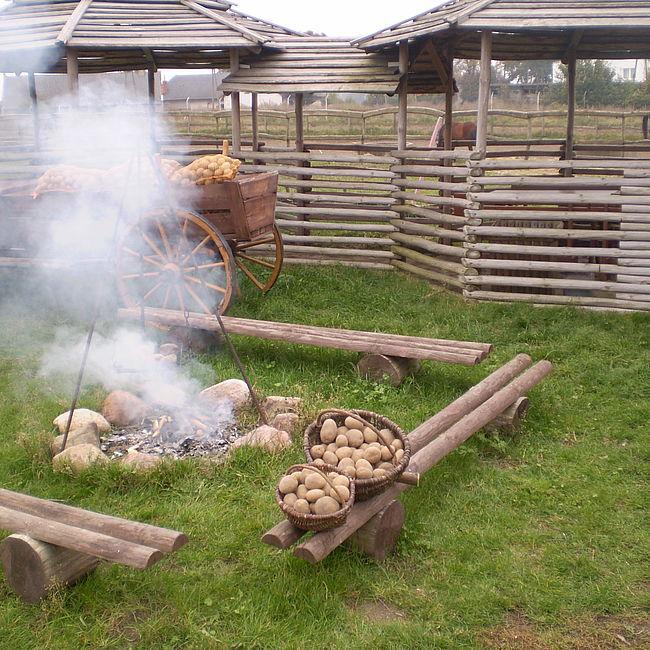 Gospodarstwo Agroturystyczne Dzikowscy