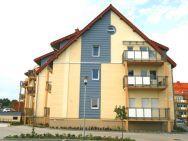 Apartament Stegna