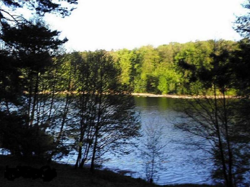 Pokoje do wynajcia Pod Kasztanem