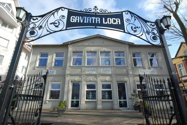 Gaviata Loca