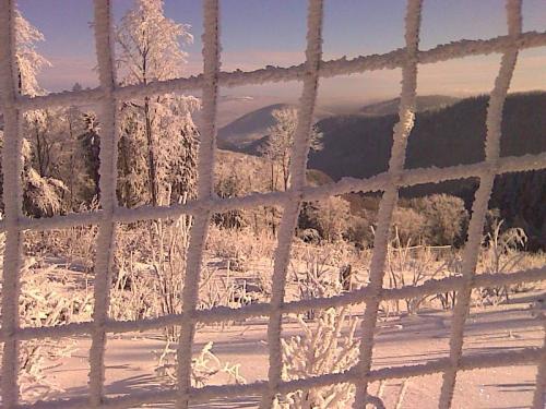 Dziupla - restauracja, noclegi