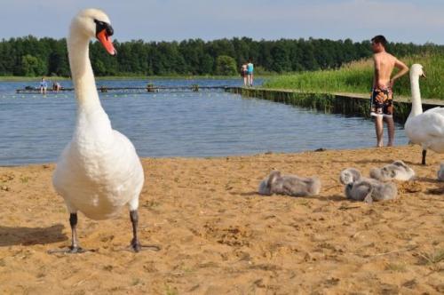 Noclegi Powidzkie jezioro kwatery